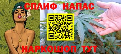 spice Кингисепп