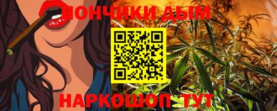 spice Кингисепп
