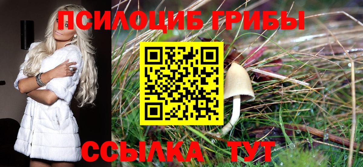 Королёв  Галлюциногенные грибы мицелий  Галлюциногенные грибы Psilocybine cubensis  купить наркоту  Вход с VPN 