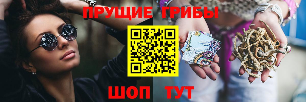 Псилоцибиновые грибы мицелий Королёв
