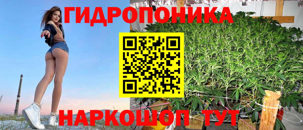 Бошки Шишки Amnesia  Бошки марихуана сатива  Королёв  Бошки Шишки марихуана  Вход с VPN 